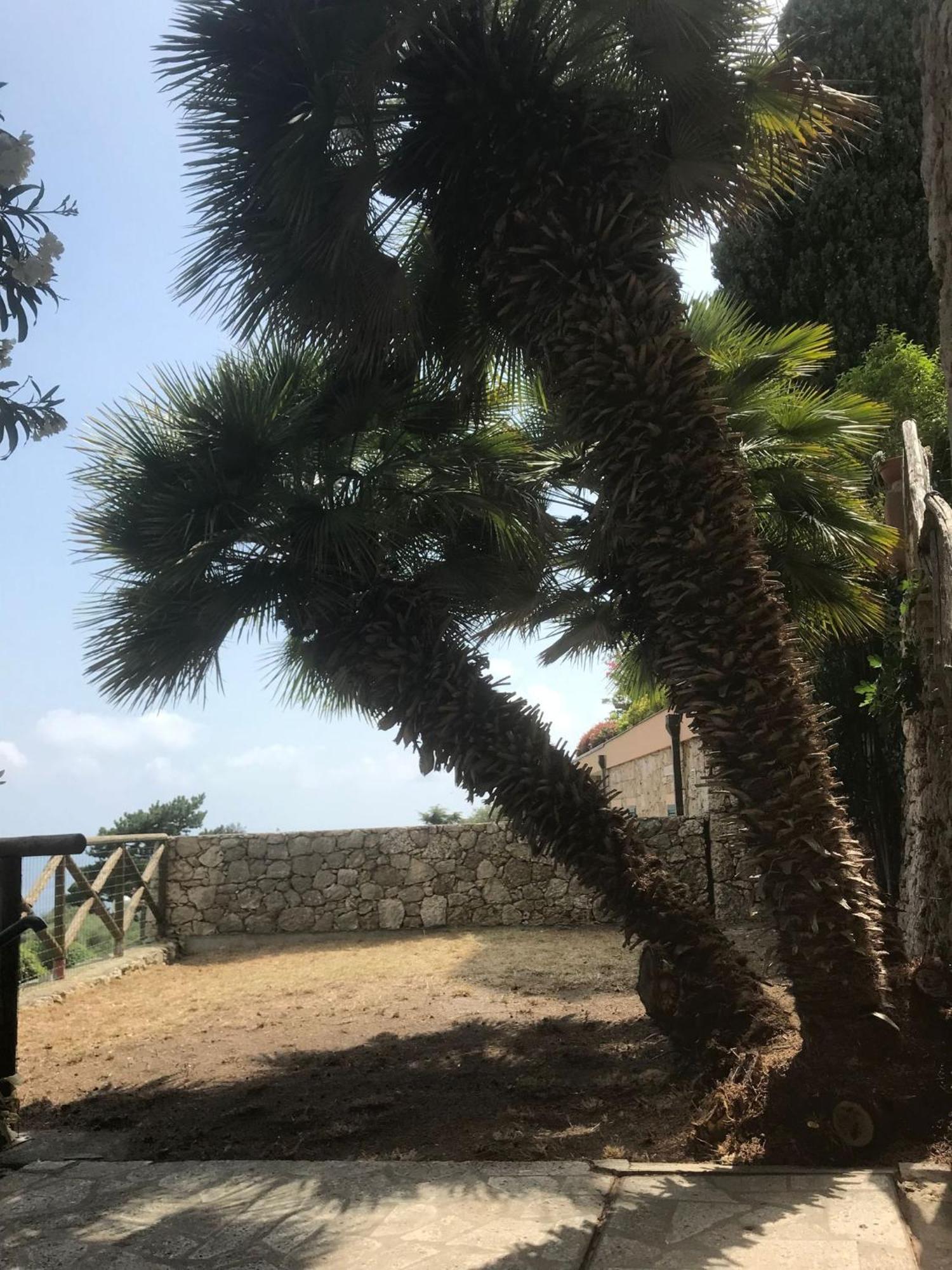 Apartmán La Cita Ca - Vista Mare Finale Ligure Exteriér fotografie
